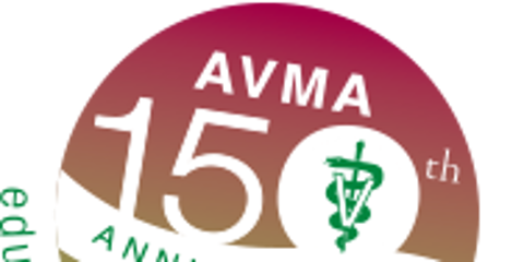 AVMA 15th anniversary