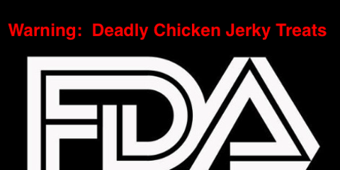 Warning: Deadly Chicken Jerky Treats with FDA logo