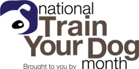 National Train Your Dog Month