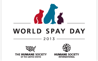World Spay Day