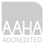 AAHA Accredited