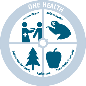 One Health wheel showing human, animal, environmental, agriculture, and food safety & security